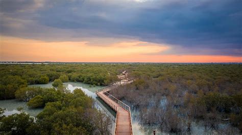 mangrove national park abu dhabi entry fee|Everything You Need to Know About Mangrove National Park .